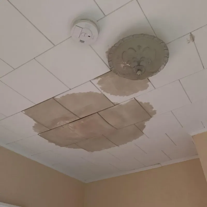 Ceiling Water Damage Repair in Oregon County, MO