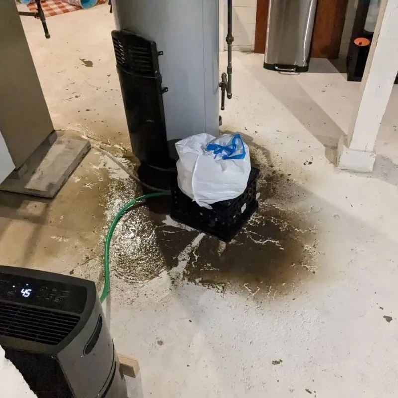 Sewage Backup Cleanup Service in Oregon County, MO